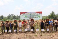 Kapolres Melawi bersama Forkopimda Gelar panen jagung serentak di desa tanjung tengang