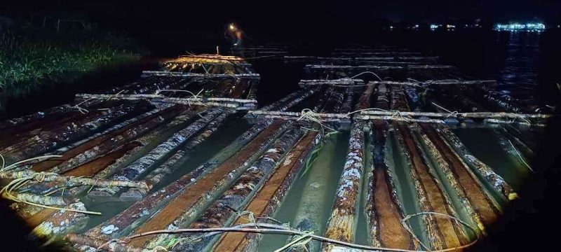 600 batang kayu bulat jenis rimba campuran di perairan Sungai Pawan berhasil di amankan Balai Penegakan Hukum (Gakkum) Kehutanan Wilayah Kalimantan