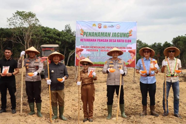 Bupati Ketapang dan Polres Ketapang saat menanam jagung hibrida, di Dusun Batu Penyarak Desa Ratu Elok Kecamatan Manis Mata Kabupaten Ketapang, Sabtu (31/1/2026) kemarin.
